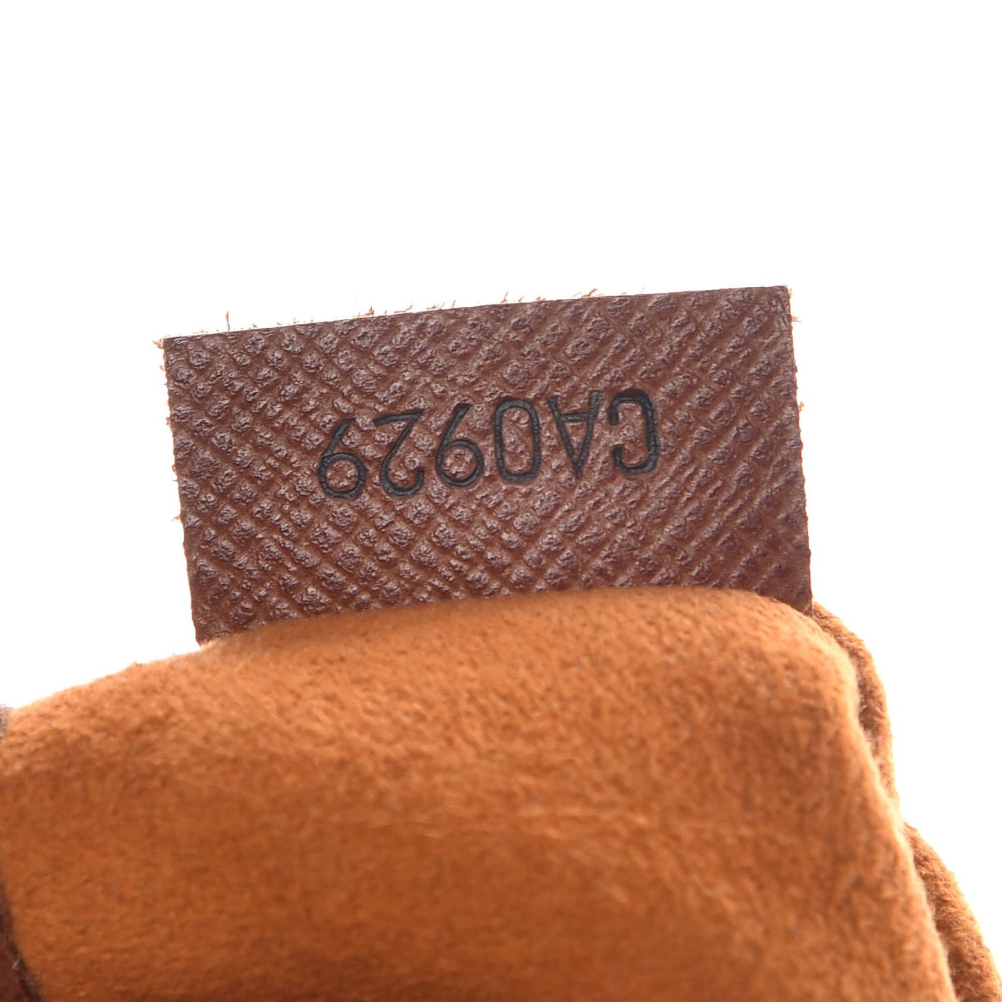 Monogram Musette Salsa