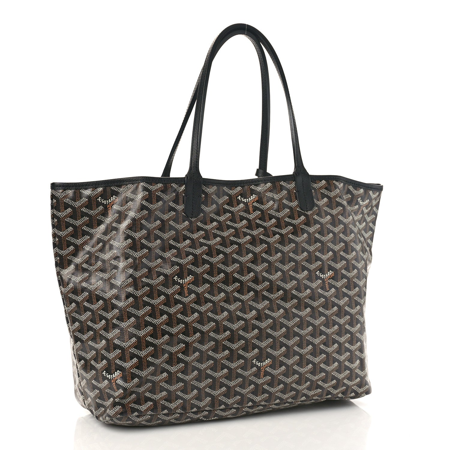 Goyard Goyardine Saint Louis PM Black 4 of 9