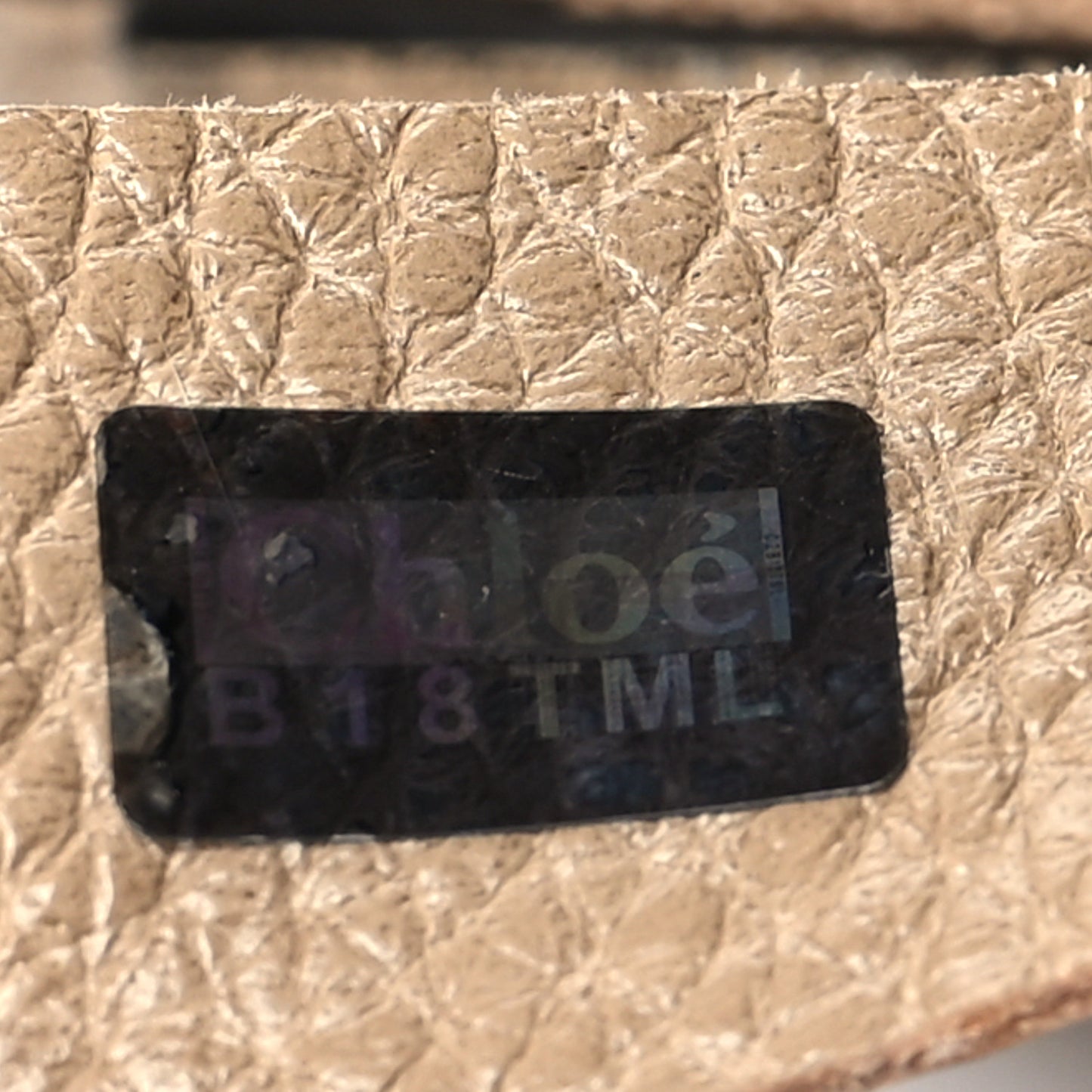 Calfskin Medium Paraty Dove
