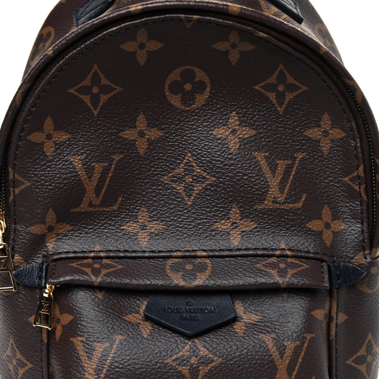 Monogram Palm Springs Backpack Mini