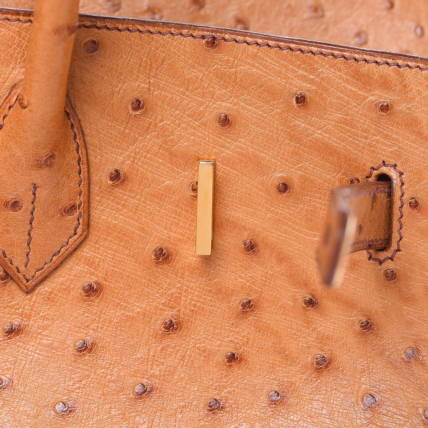 Ostrich Birkin 35 Gold
