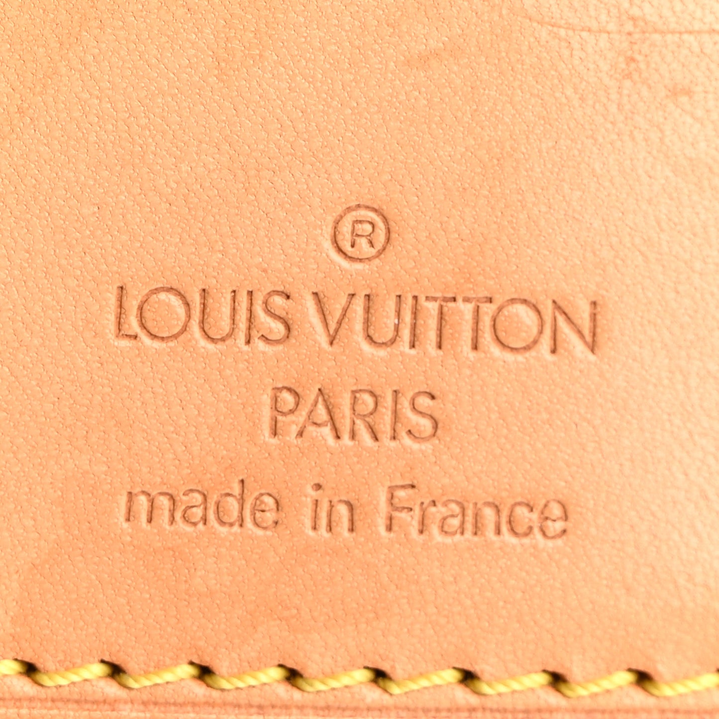 Monogram Pegase 55 Business