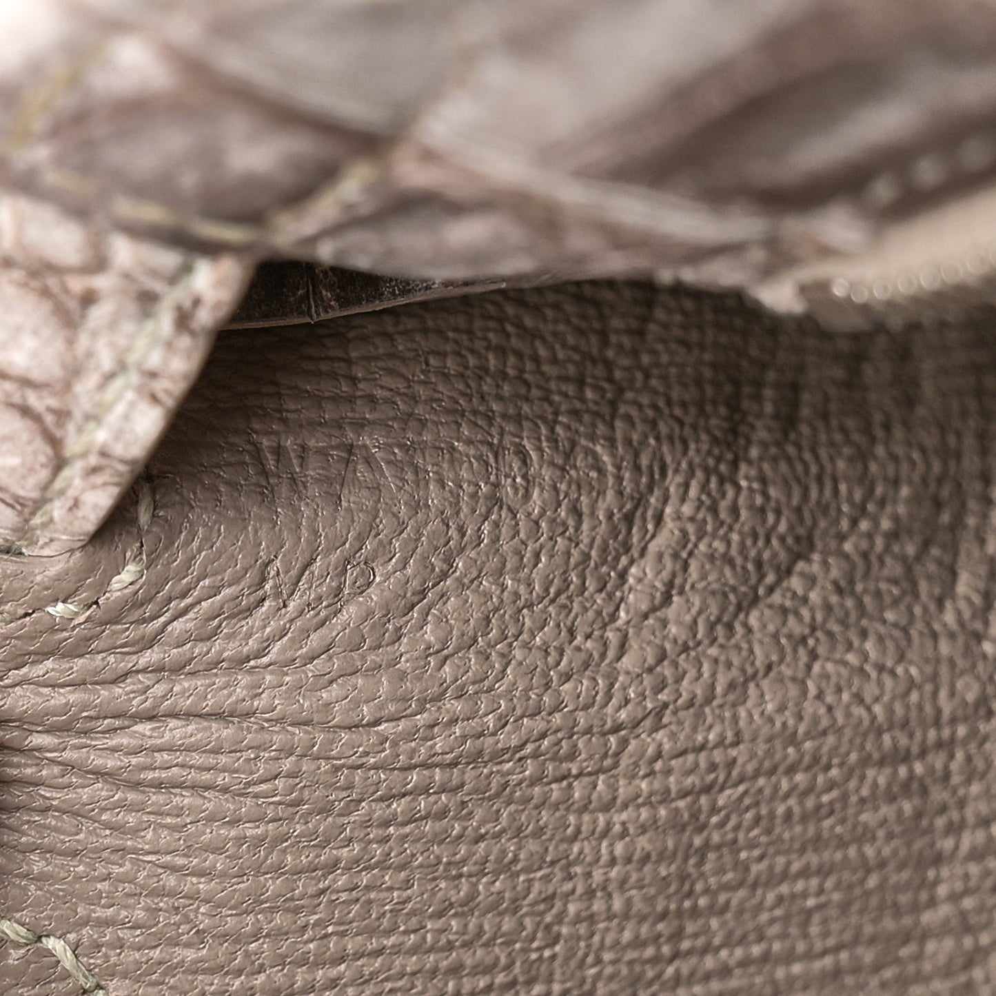 Matte Niloticus Crocodile Himalaya Kelly Retourne 25 White