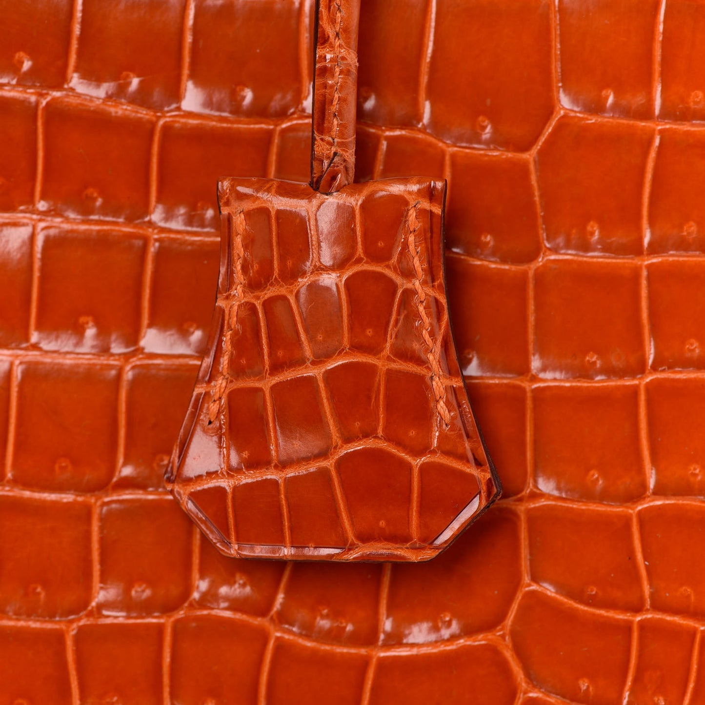 Shiny Porosus Crocodile Birkin 30 Orange