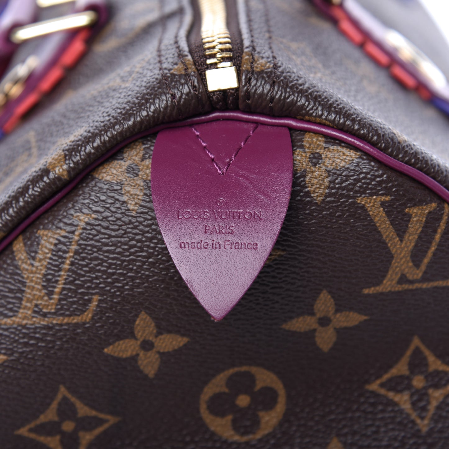 Monogram Totem Speedy 30 Magenta