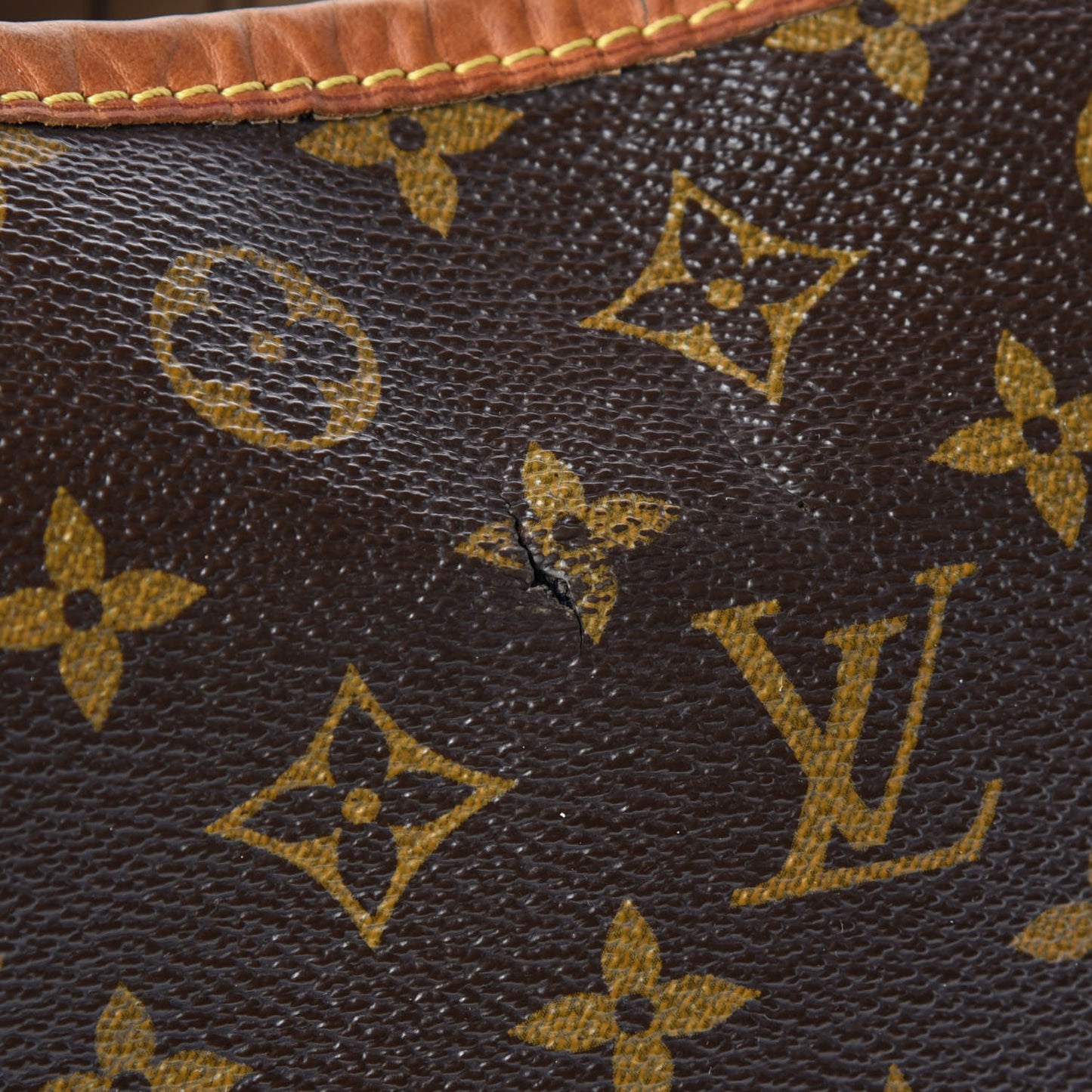 Monogram Delightful PM