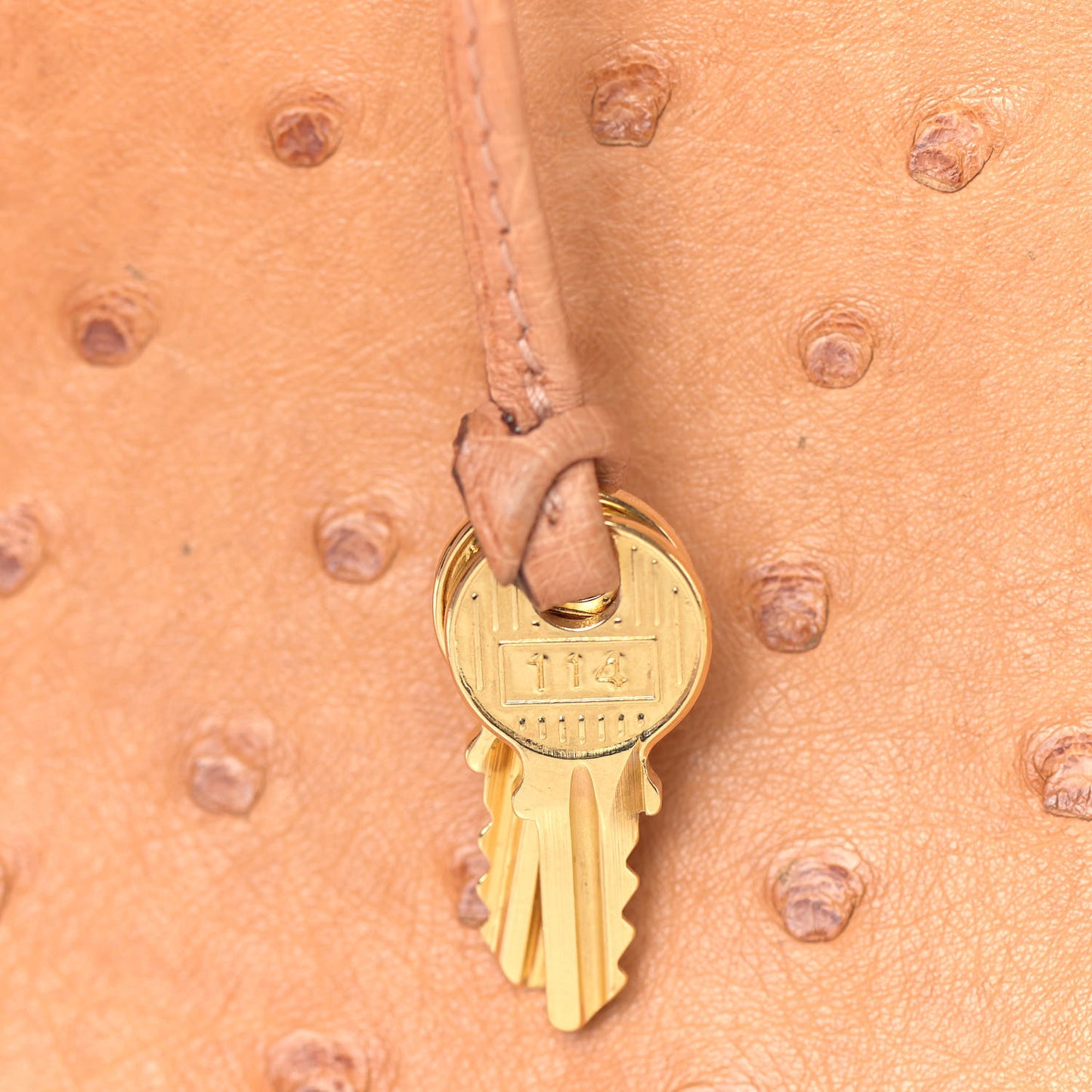 Ostrich Birkin 30 Sable
