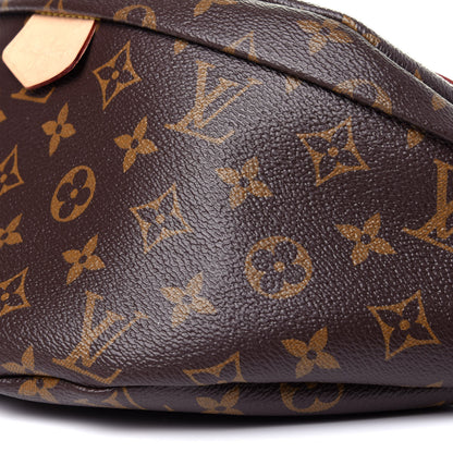 Louis Vuitton Monogram Bumbag 15 of 21