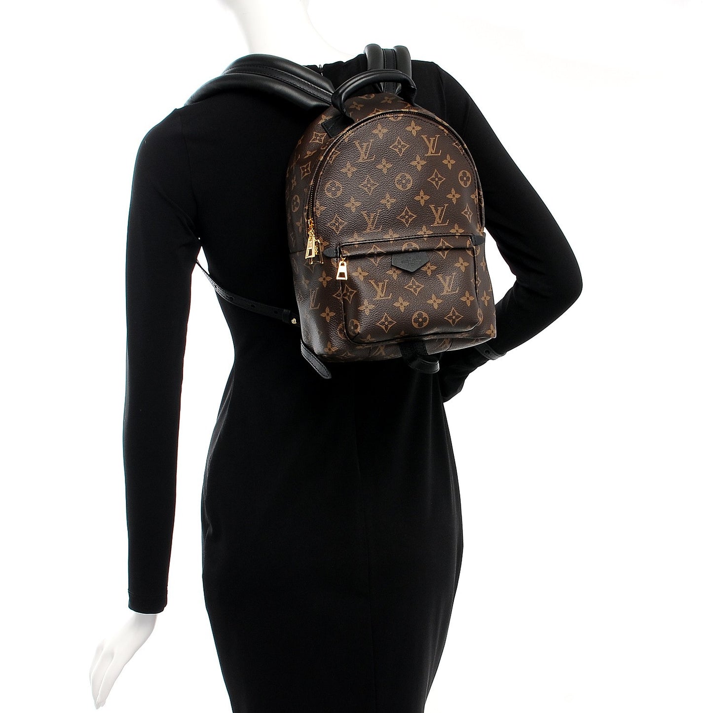 Monogram Palm Springs Backpack PM