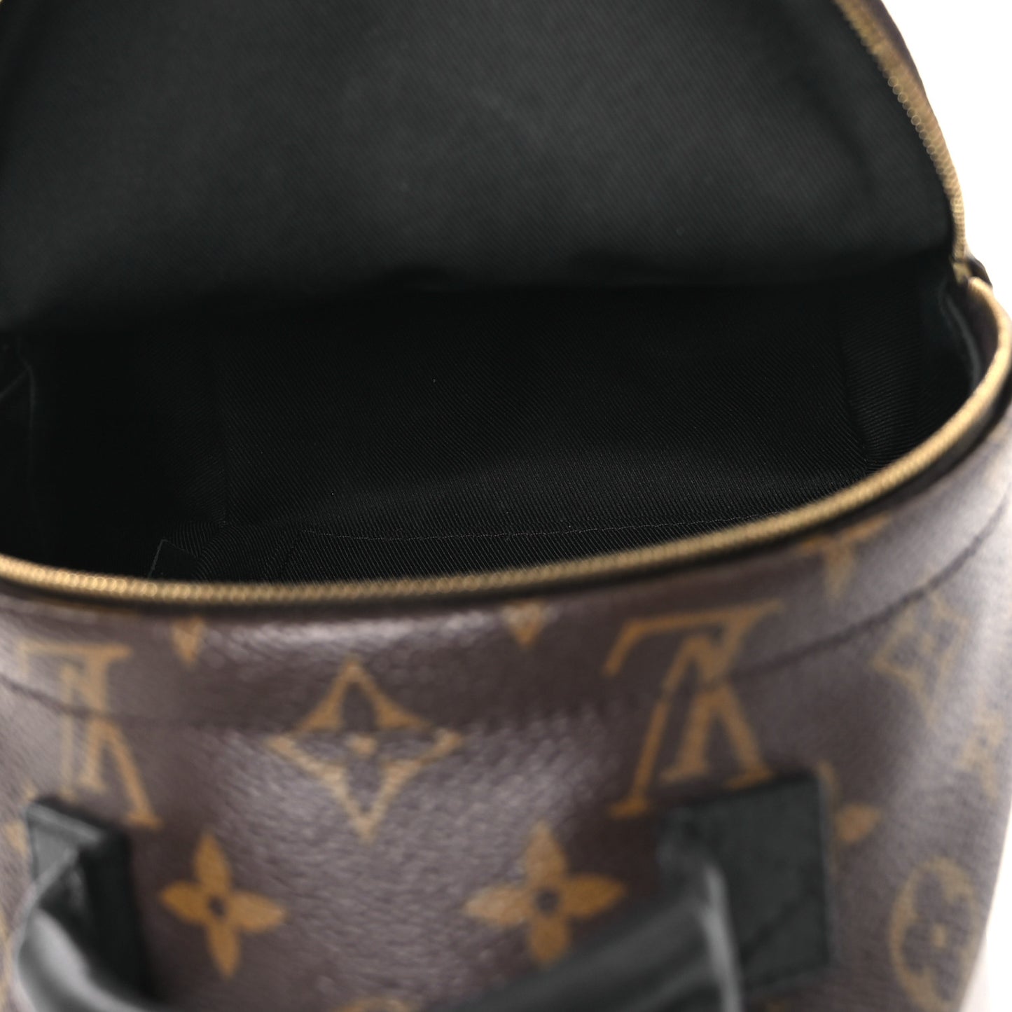 Monogram Palm Springs Backpack Mini
