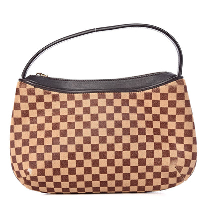 Louis Vuitton Calf Hair Damier Sauvage Tigre 1 of 12
