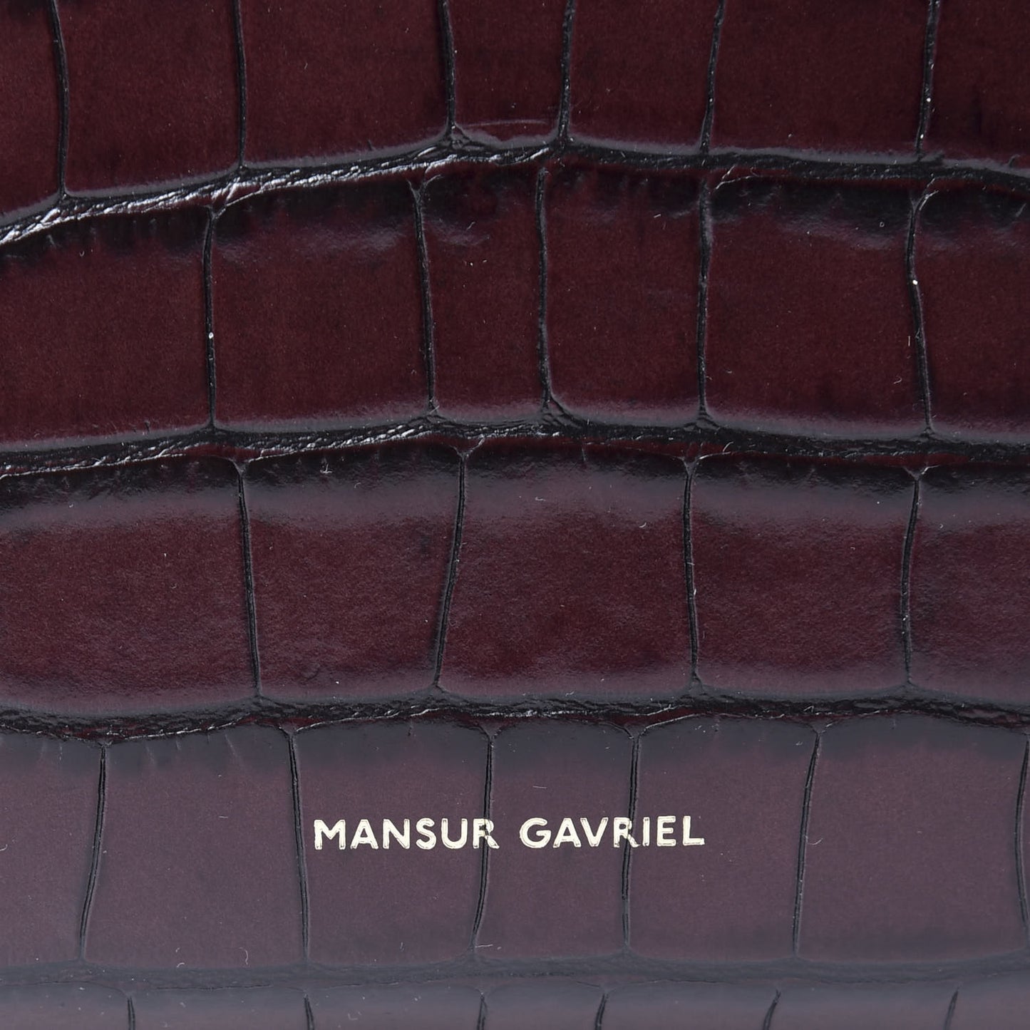 Calfskin Crocodile Embossed Everyday Tote Class