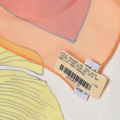 Hermes Silk Mousseline Etude Un Iris Arc Shawl 140 Abricot Vert Orange 4 of 4