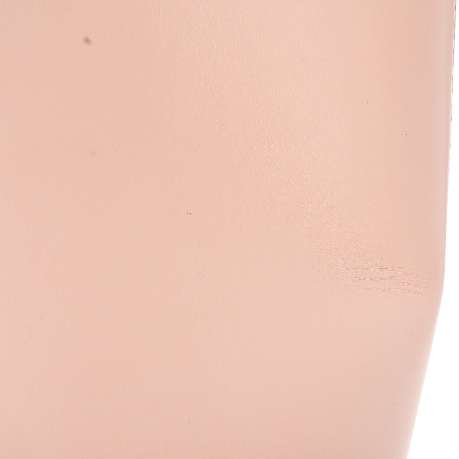Mansur Gavriel Vegetable Tanned Calfskin Small Shopping Bag Rosa 9 of 10