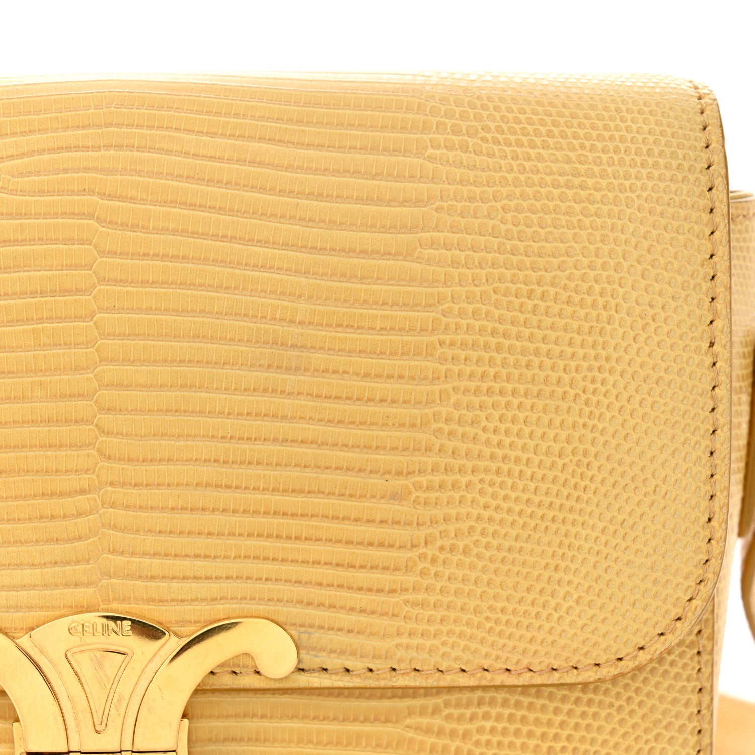 Celine Lizard Teen Triomphe Pollen 11 of 15