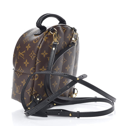 Louis Vuitton Monogram Palm Springs Backpack Mini 3 of 10