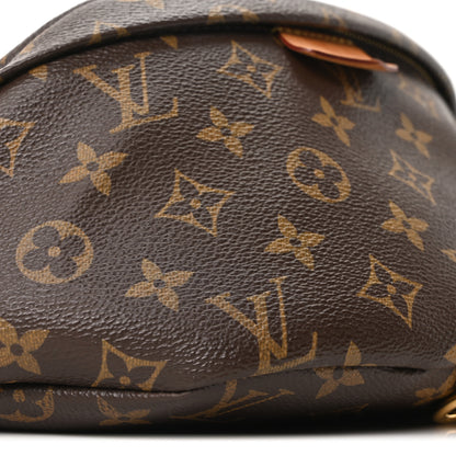 Louis Vuitton Monogram Bumbag 7 of 8