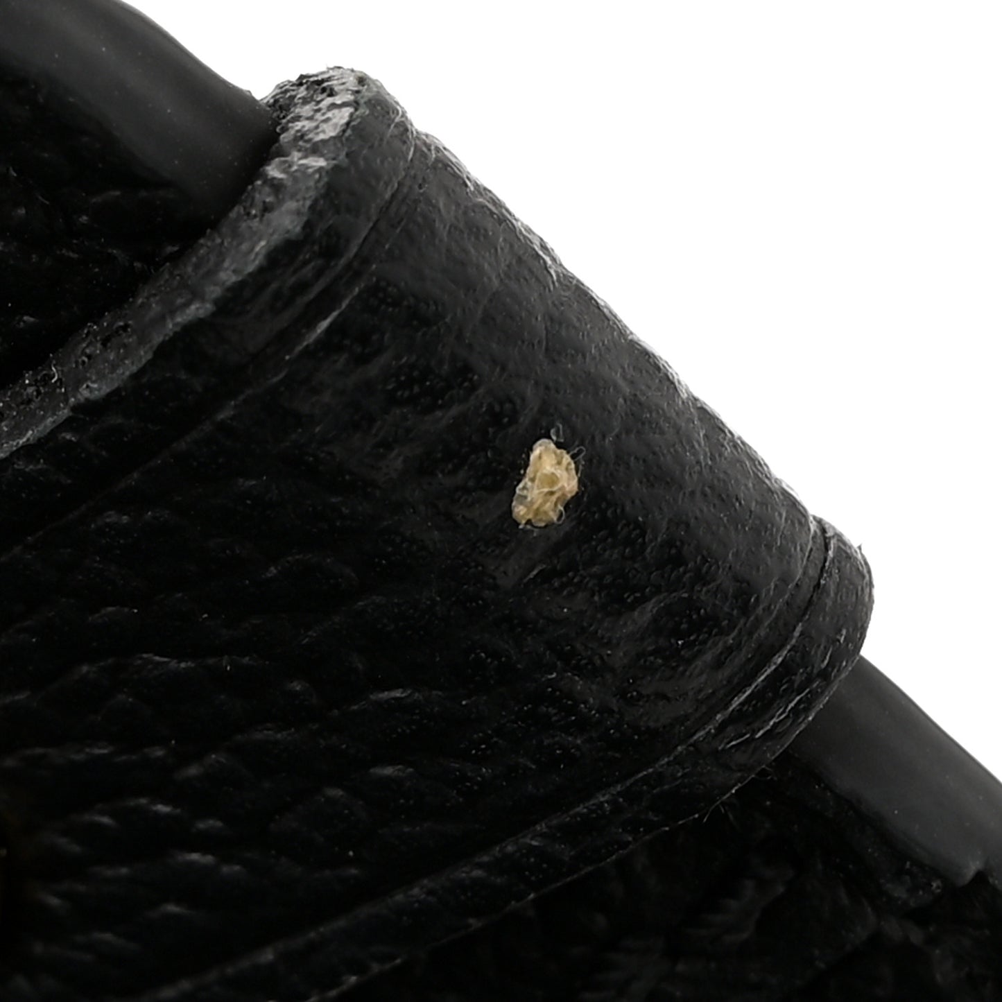 Empreinte Vavin BB Black