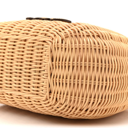 Miu Miu Wicker Wander Hobo Platino 9 of 10