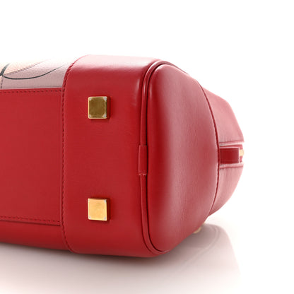 Loewe X SPIRITED AWAY Calfskin Bo Mouse Amazona 19 Red 9 of 9