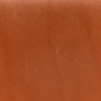 Celine Natural Calfskin Triomphe Shoulder Bag Tan 15 of 15
