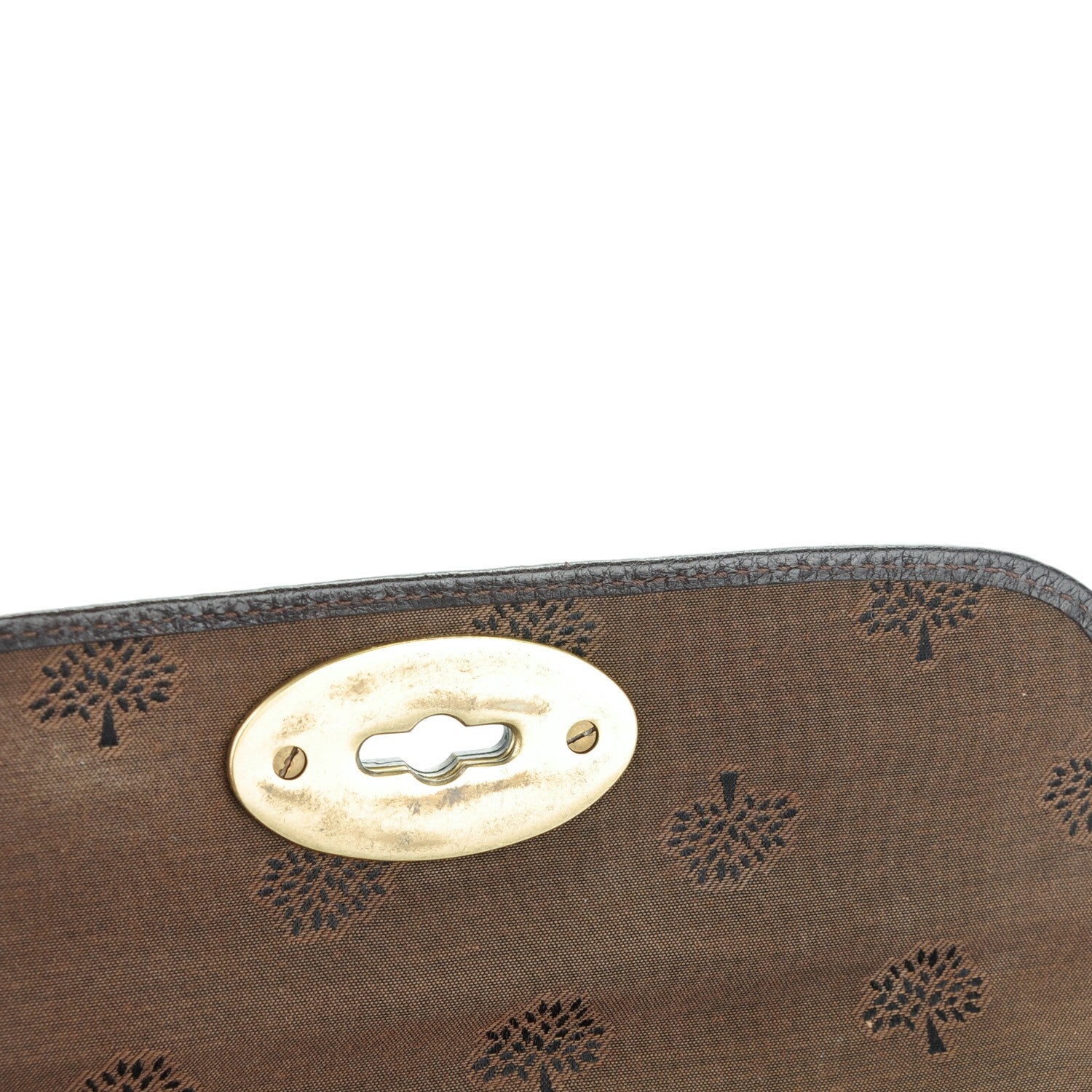 Mulberry Grainy Bayswater Wallet Chocolate 8 of 9