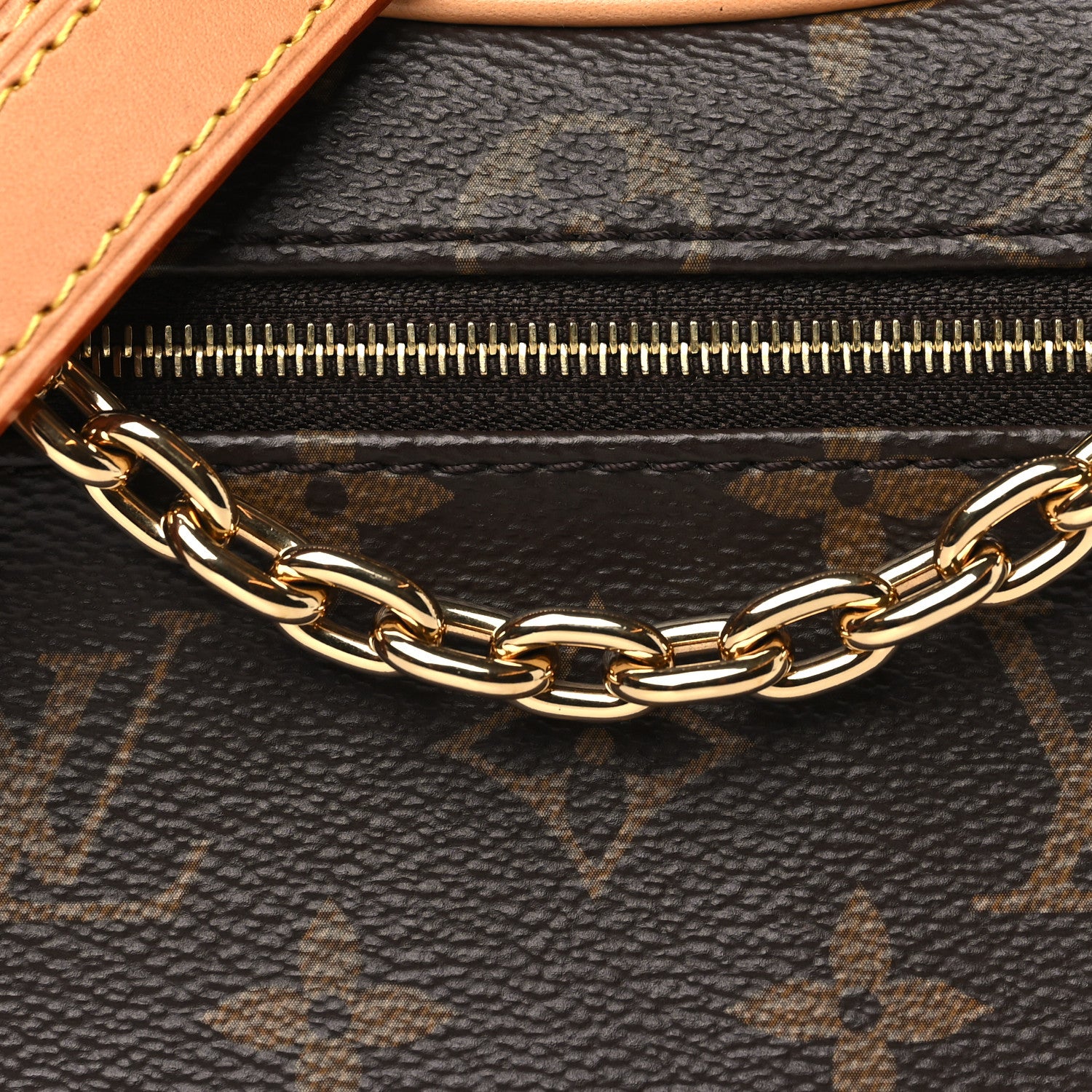Louis Vuitton Monogram Loop 7 of 9