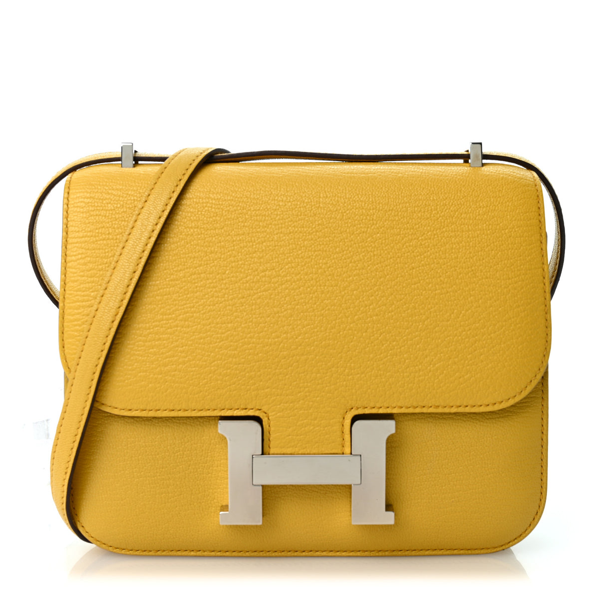 Chevre Mysore Constance 18 Jaune De Naples