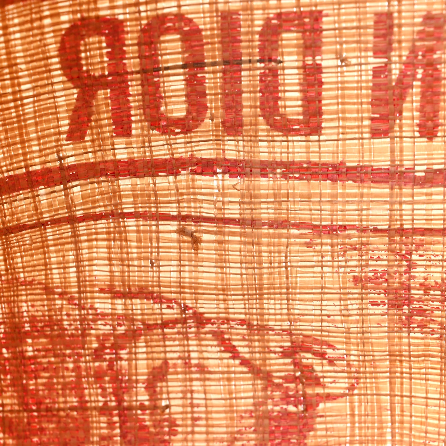 Straw Dioriviera Tote Red