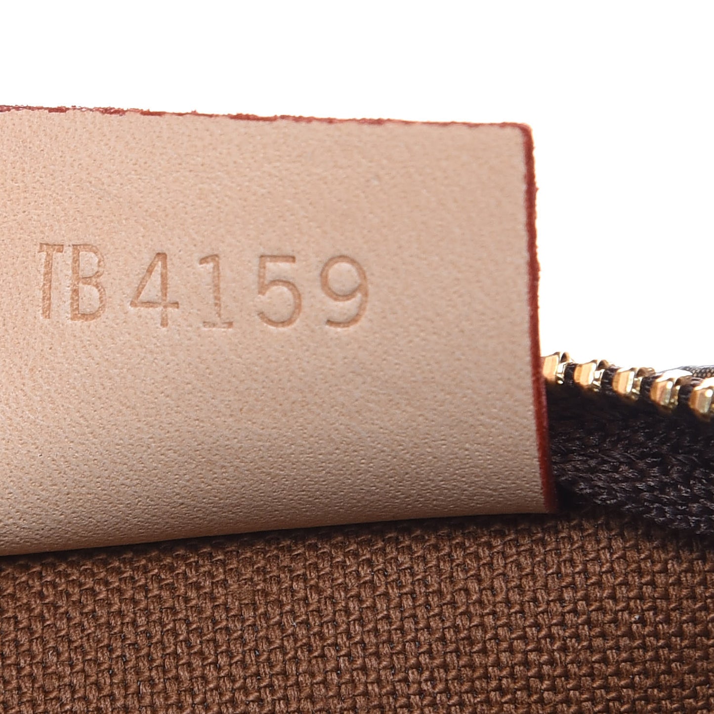 Monogram Nano Speedy