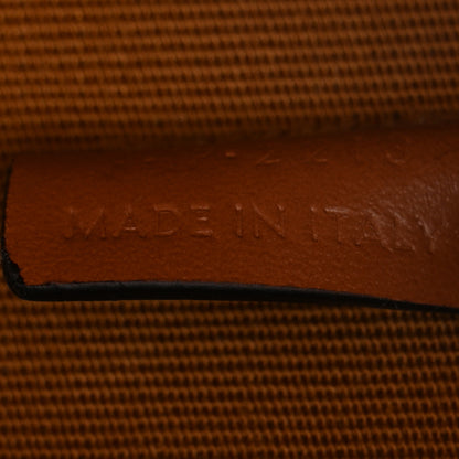 Celine Calfskin Triomphe Canvas Half Moon Case Tan 7 of 11