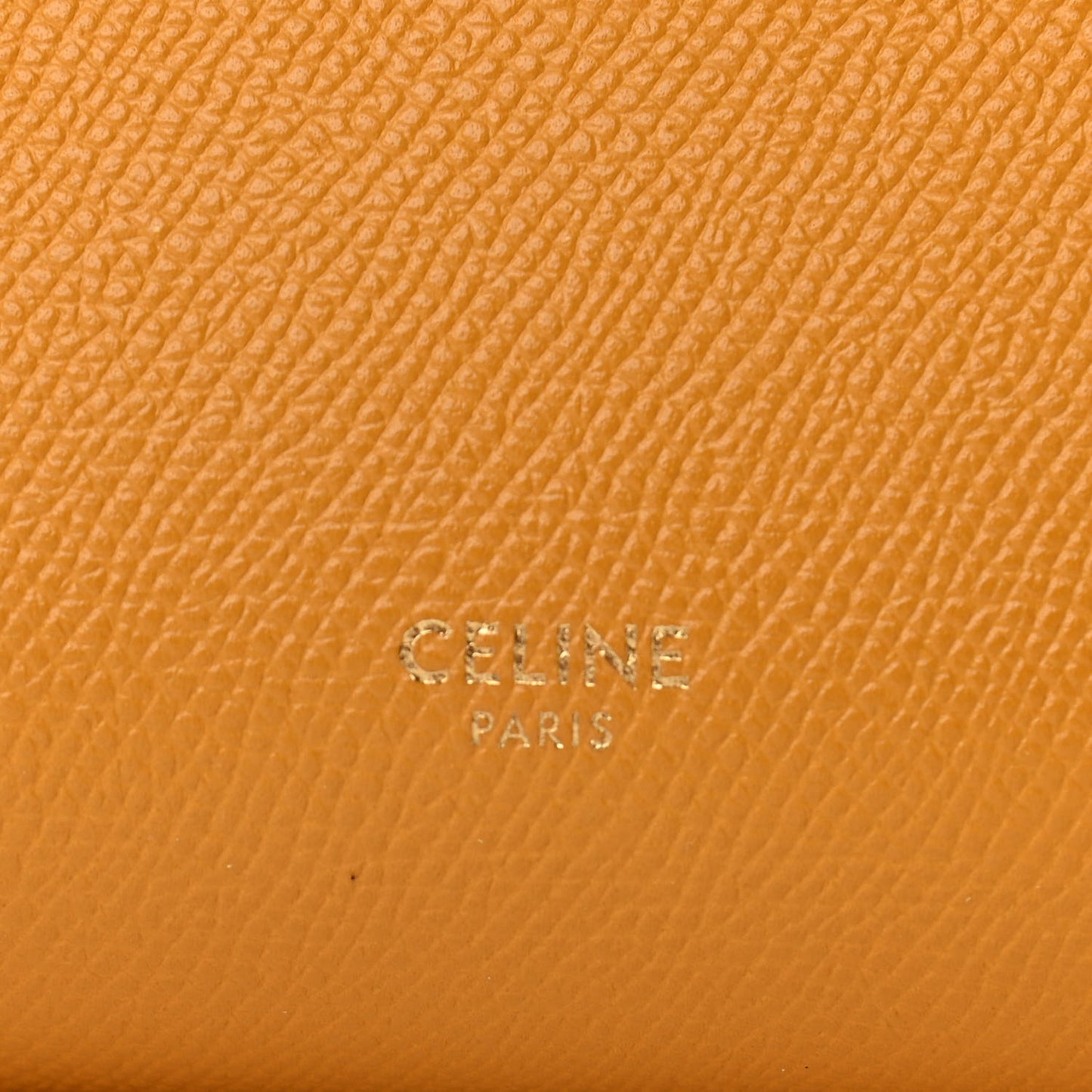 Grained Calfskin Nano Belt Bag Calendula