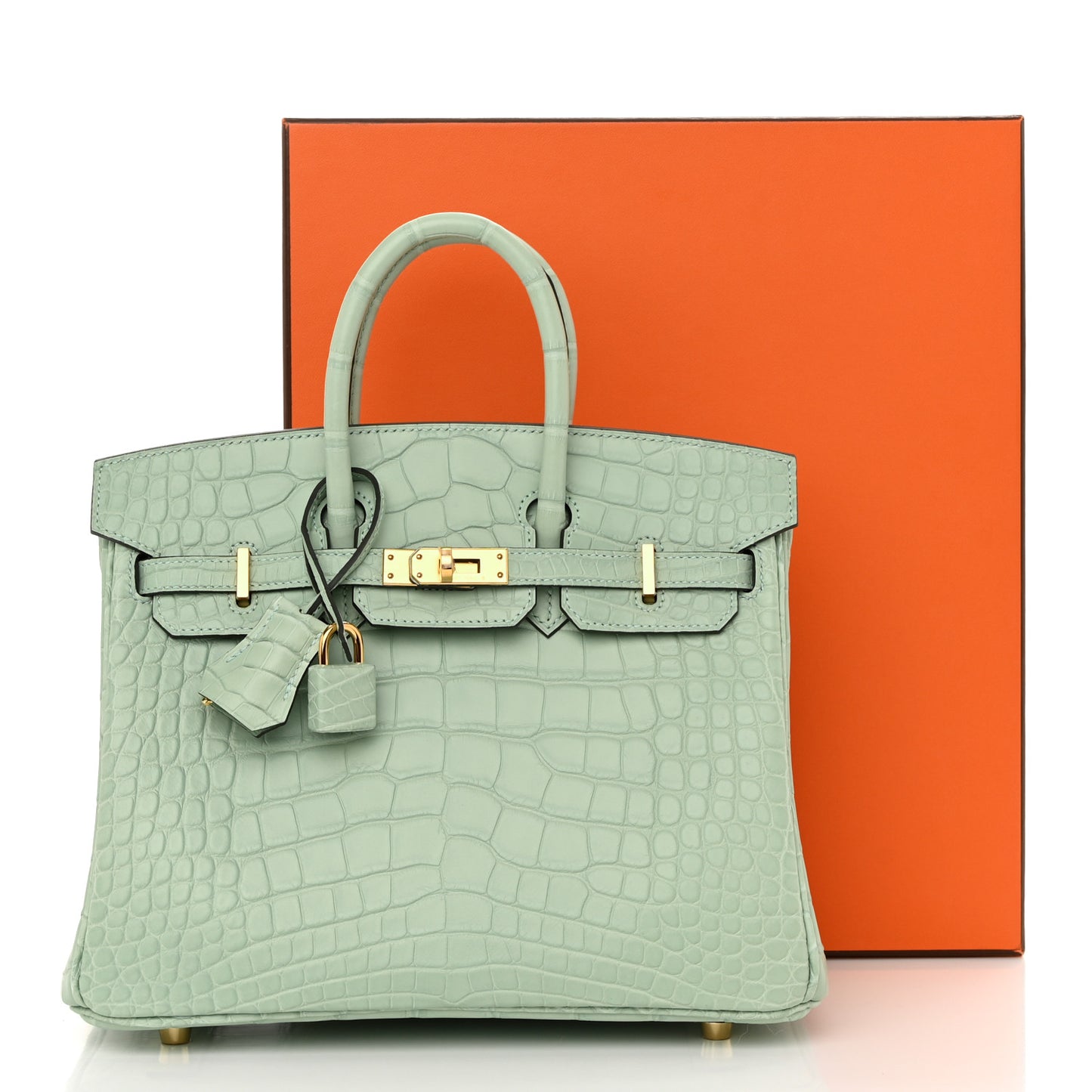 Matte Alligator Birkin 25 Vert D'eau