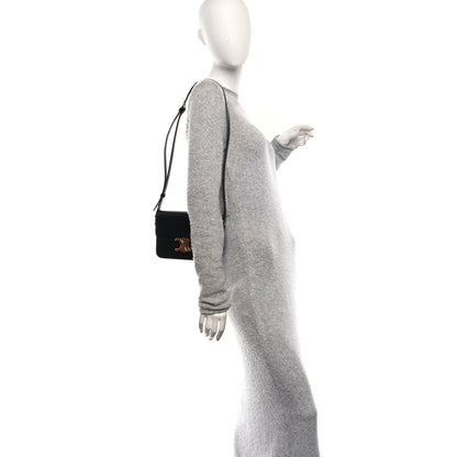Celine Shiny Calfskin Teen Triomphe Black 2 of 12