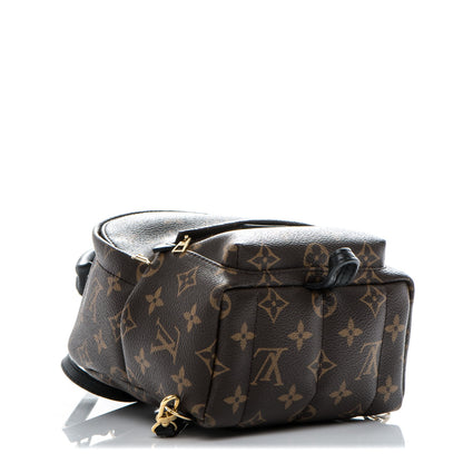 Louis Vuitton Monogram Palm Springs Backpack Mini 4 of 12