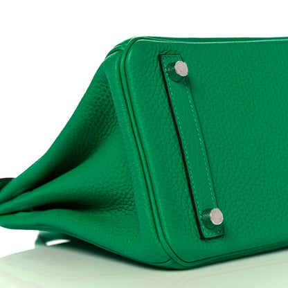 Hermes Togo Verso Birkin 25 Menthe Vert Bosphore 7 of 34