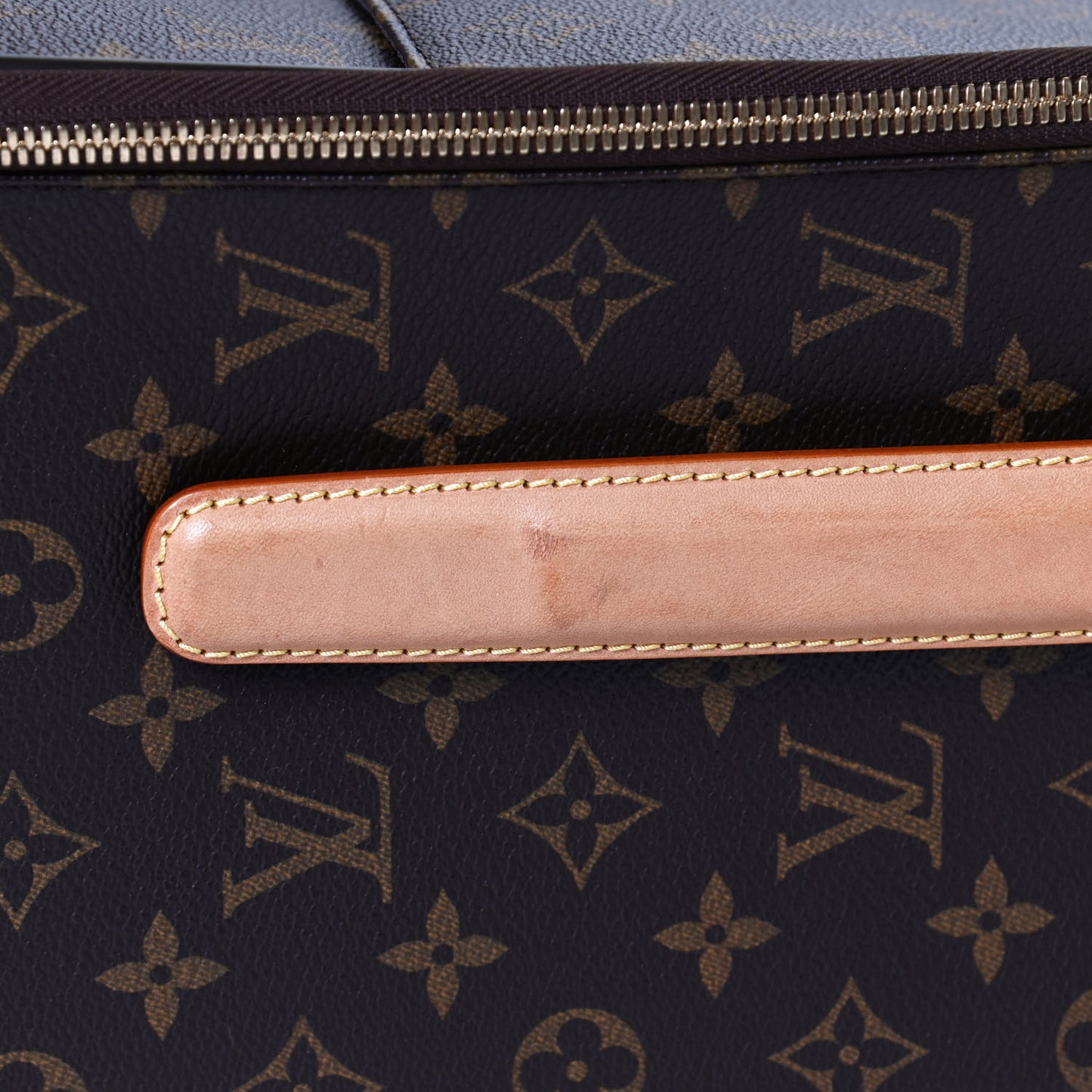 Monogram Pegase 50 Business