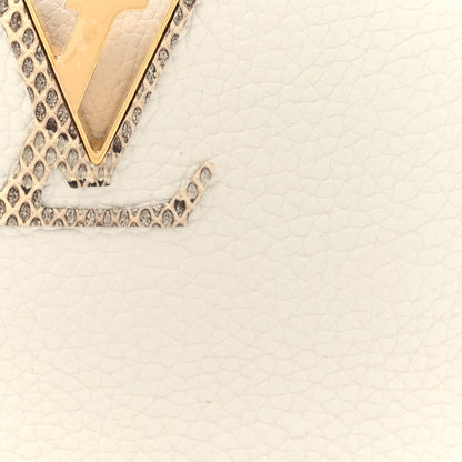 Louis Vuitton Taurillon Ayers Capucines Mini White Snow White 7 of 11