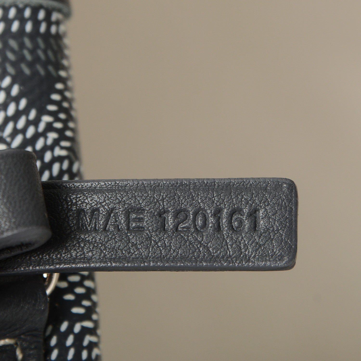 Goyard Goyardine Saint Louis PM Grey 6 of 7
