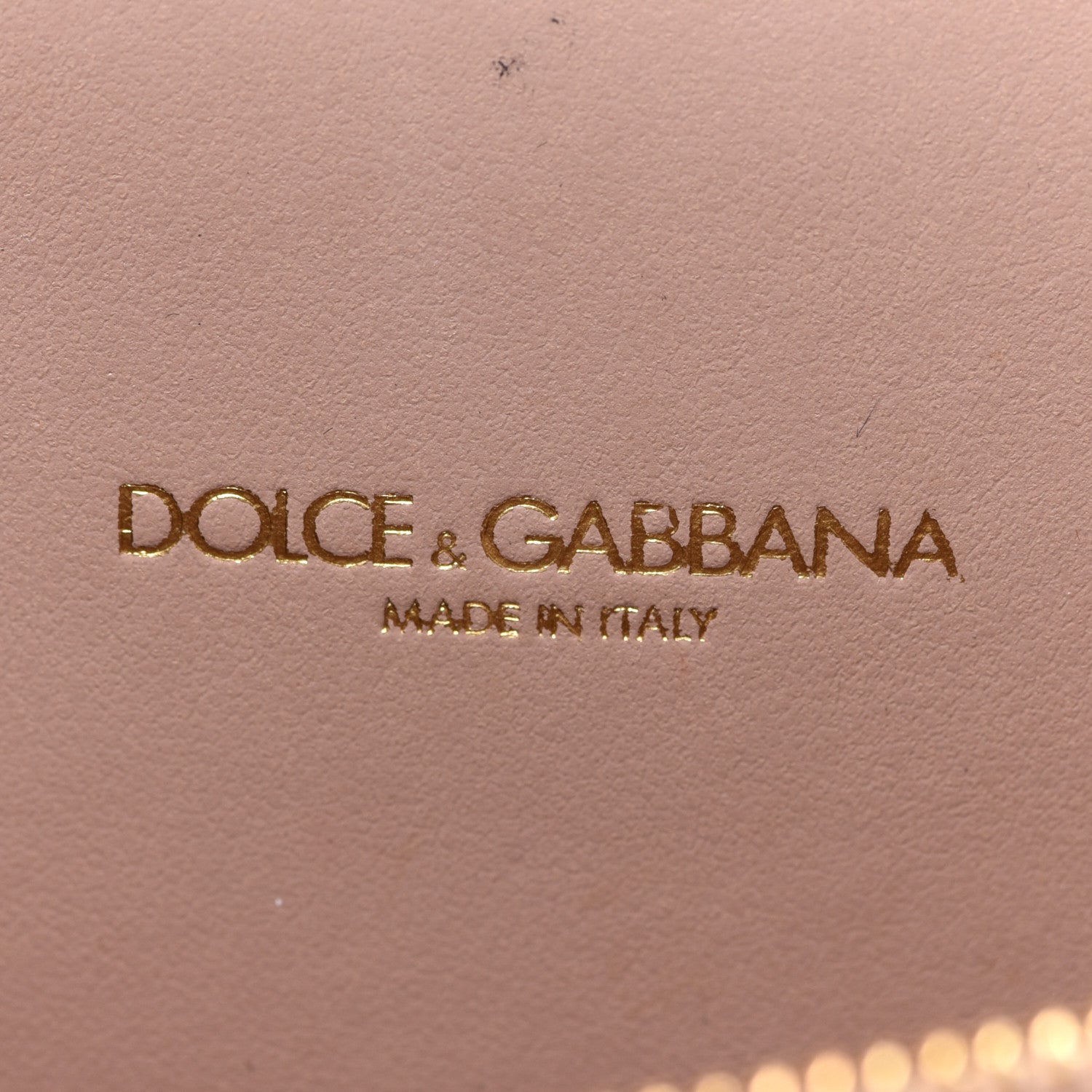 Dolce & Gabbana Iguana Calfskin Embossed Mini Welcome Crossbody Bag Green 6 of 10