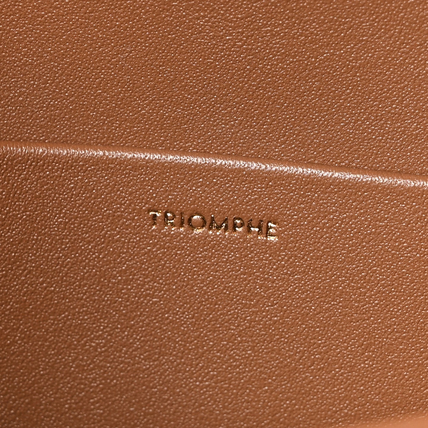Shiny Calfskin Medium Triomphe Bronze