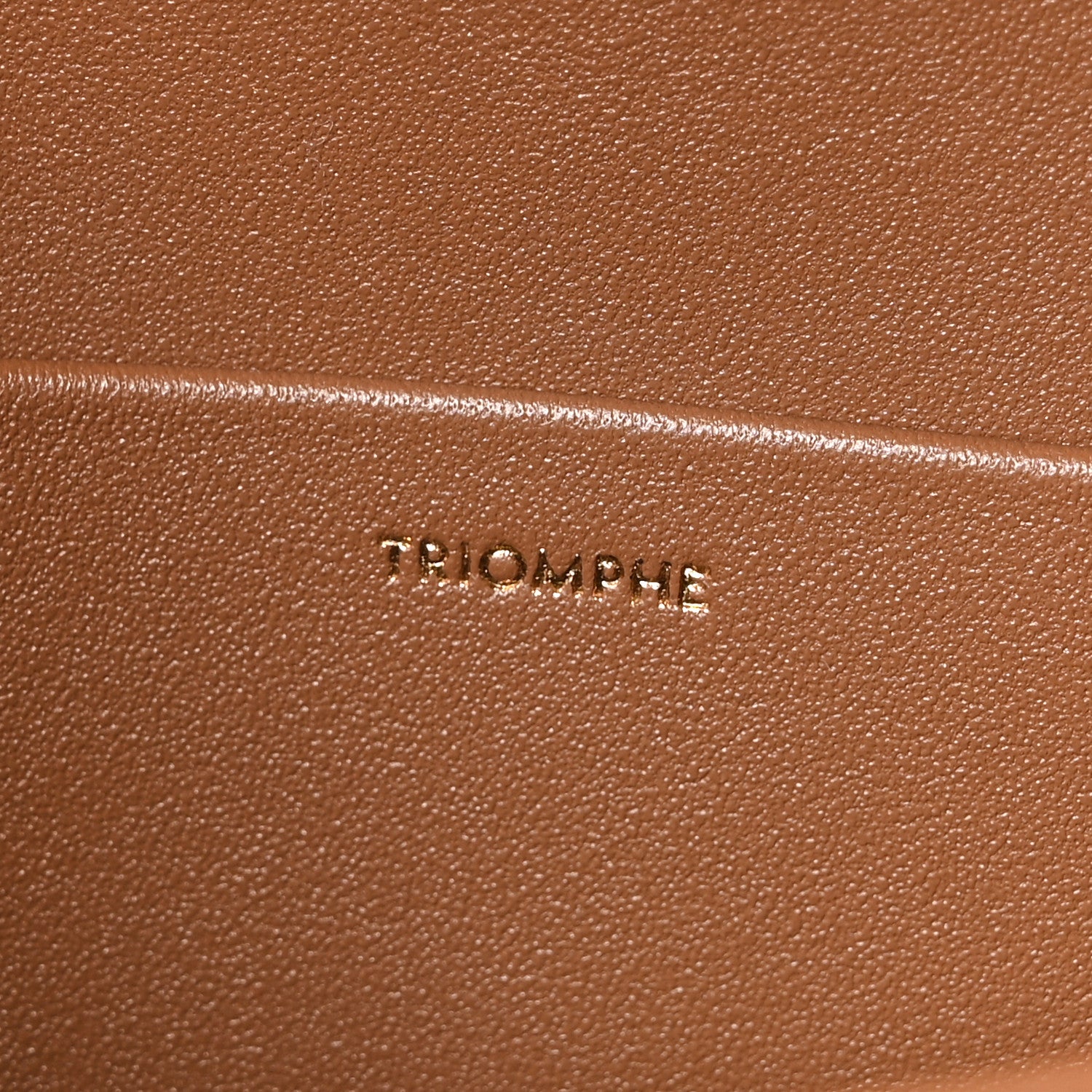 Celine Shiny Calfskin Medium Triomphe Bronze 6 of 9