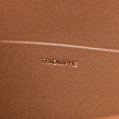 Celine Shiny Calfskin Medium Triomphe Bronze 6 of 9