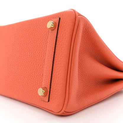 Hermes Togo Birkin 25 Feu 10 of 11