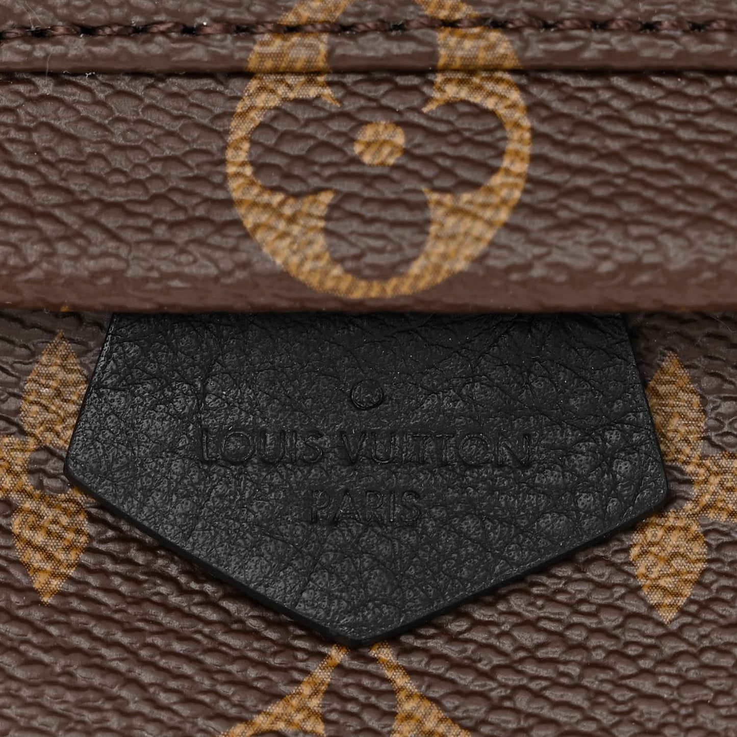 Monogram Palm Springs Backpack Mini