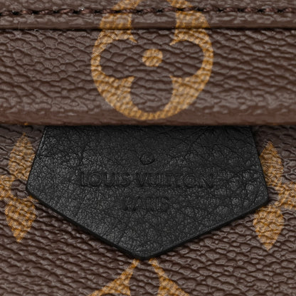 Louis Vuitton Monogram Palm Springs Backpack Mini 11 of 12