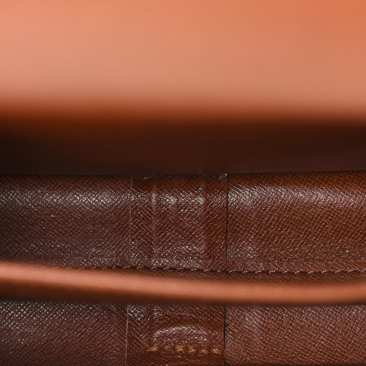 Monogram Cartouchiere 22