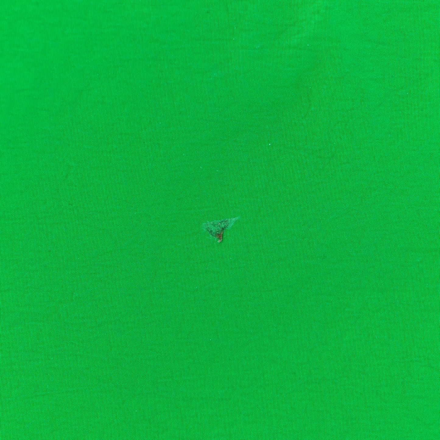 Nylon Intrecciato Padded Tech Cassette Bag Parakeet