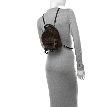 Louis Vuitton Monogram Palm Springs Backpack Mini 2 of 12