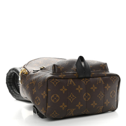 Louis Vuitton Monogram Palm Springs Backpack PM 4 of 11